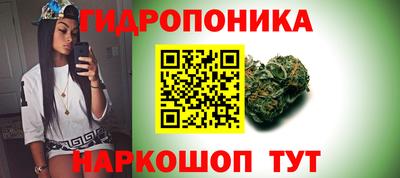 скорость Будённовск