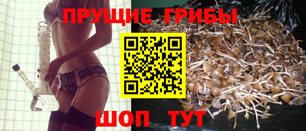 Псилоцибиновые грибы MAGIC MUSHROOMS Апрелевка