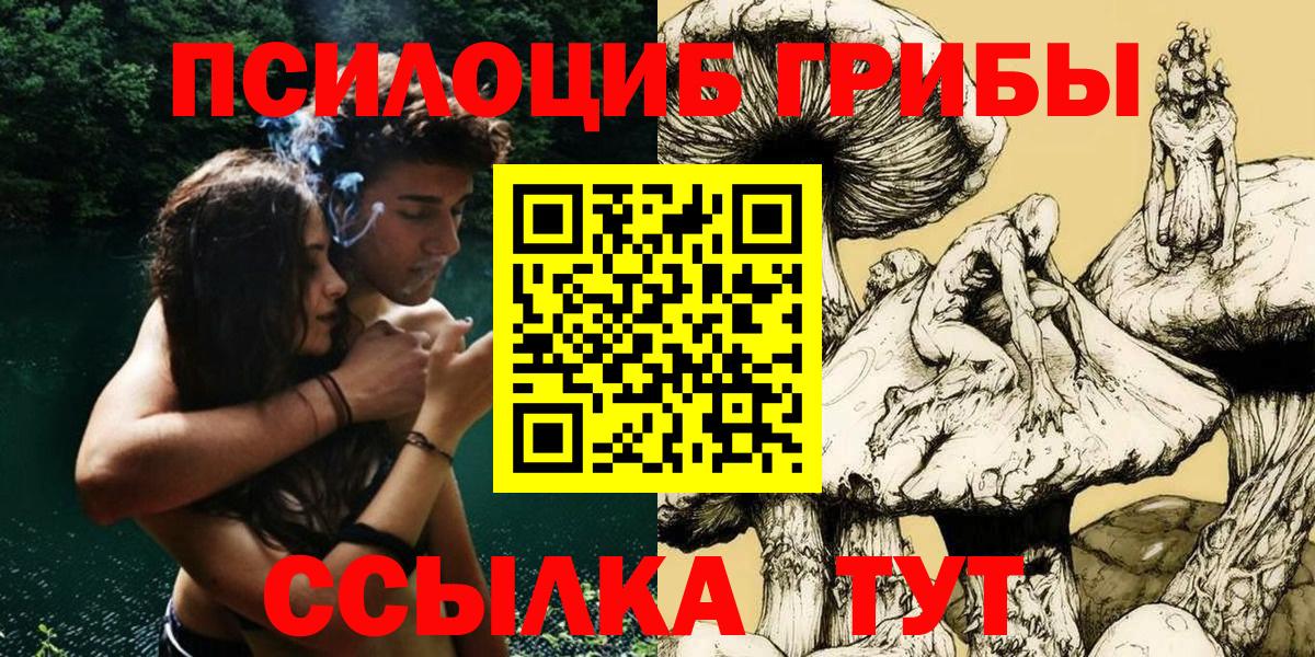 Псилоцибиновые грибы Psilocybe  Вход с VPN  где купить   Псилоцибиновые грибы прущие грибы  Апрелевка 